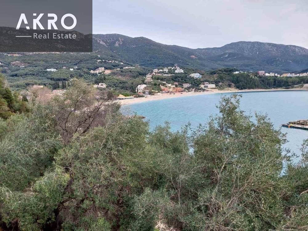 Αγροτεμάχια 25.105 τ.μ. για πώληση, Ν. Πρέβεζας, Πάργα