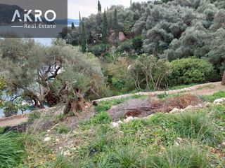 Αγροτεμάχια 25.105 τ.μ. για πώληση, Ν. Πρέβεζας, Πάργα-thumb-1