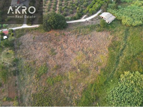Parcel 20.000sqm for sale-Preveza » Psathaki
