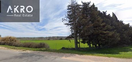 Parcel 5.400sqm for sale-Zaloggo » Archaggelos