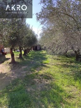 Parcel 1.500sqm for sale-Zaloggo » Mazi