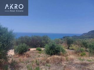 Αγροτεμάχια 7.000 τ.μ. για πώληση