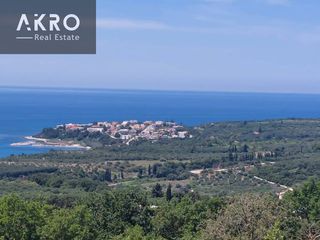 Αγροτεμάχια 10.000 τ.μ. για πώληση