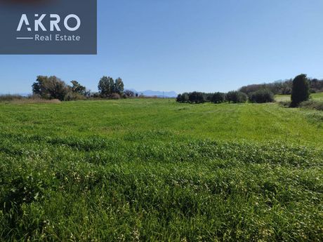 Οικόπεδο 500τ.μ. για πώληση-Πρέβεζα » Φλάμπουρα