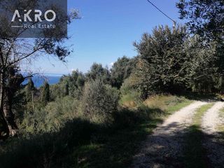 Αγροτεμάχια 4.000 τ.μ. προς πώληση, Παραλία Φαναρίου-thumb-8