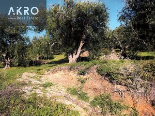 Αγροτεμάχια 4.000 τ.μ. προς πώληση, Παραλία Φαναρίου-thumb-1