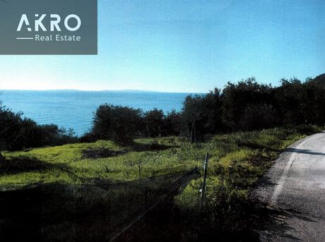 Αγροτεμάχια 4.000τ.μ. για πώληση-Φανάρι » Παραλία