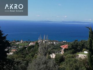 Αγροτεμάχια 4.000 τ.μ. προς πώληση, Παραλία Φαναρίου-thumb-6