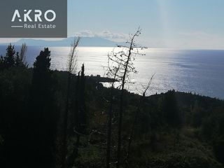 Αγροτεμάχια 4.000 τ.μ. προς πώληση, Παραλία Φαναρίου-thumb-7
