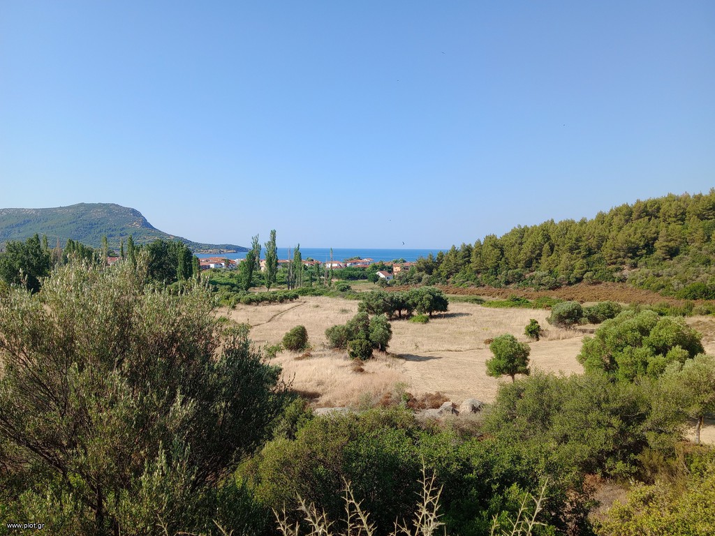 Αγροτεμάχια 4.000 τ.μ. πρός πώληση, Χαλκιδική, Τορώνη