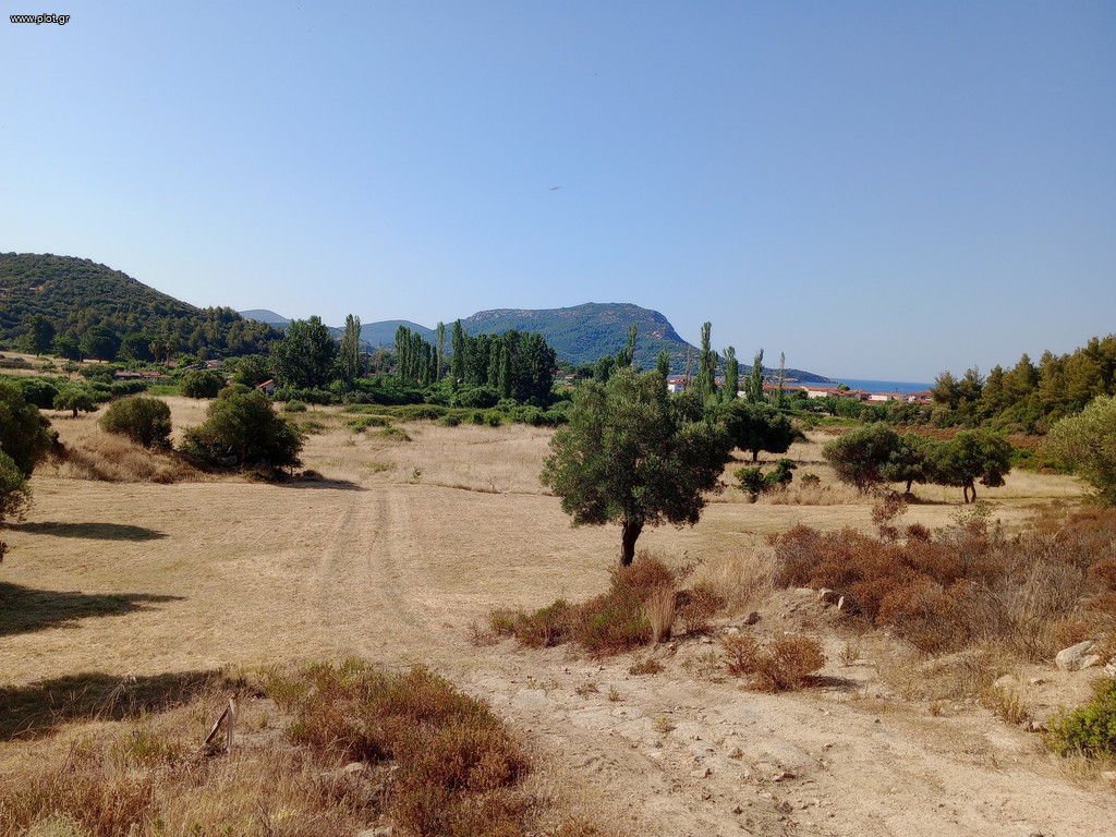 Αγροτεμάχια 4.000 τ.μ. πρός πώληση, Χαλκιδική, Τορώνη