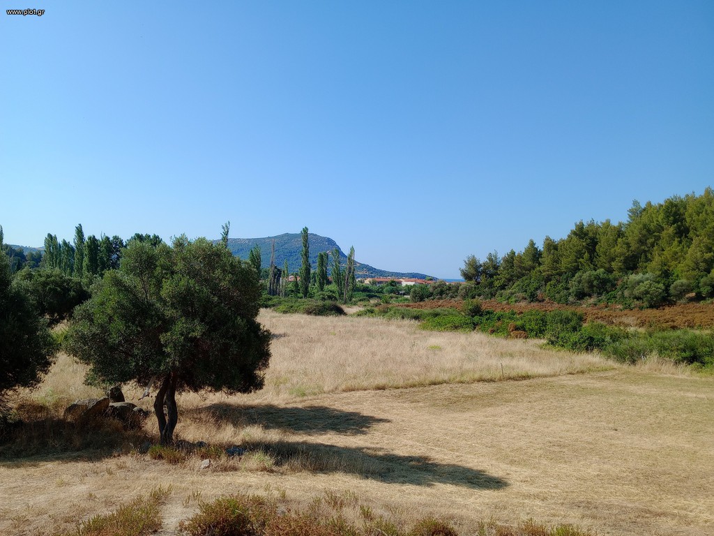 Αγροτεμάχια 4.000 τ.μ. πρός πώληση, Χαλκιδική, Τορώνη