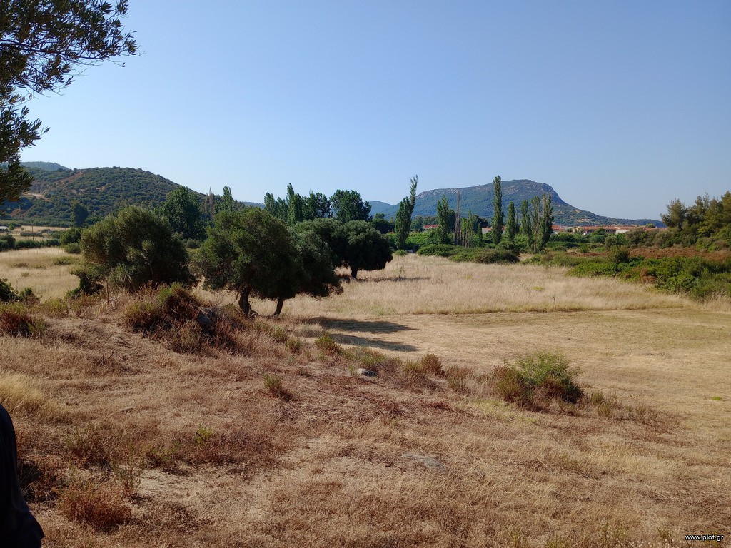 Αγροτεμάχια 4.000 τ.μ. πρός πώληση, Χαλκιδική, Τορώνη