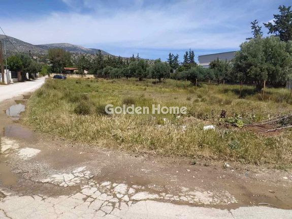 Land plot 2.000 sqm for sale, Athens - East, Koropi
