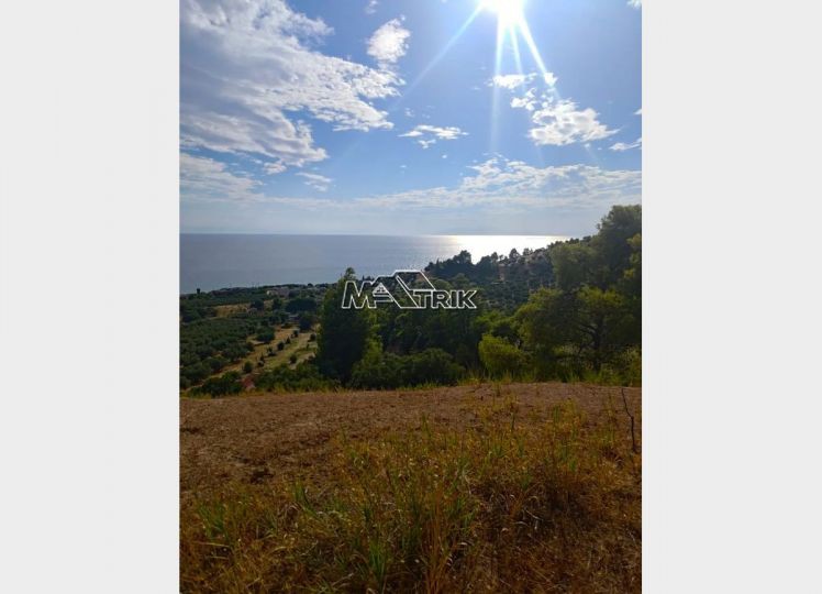 Αγροτεμάχια 4.100 τ.μ. προς πώληση, Νέα Σκιώνη