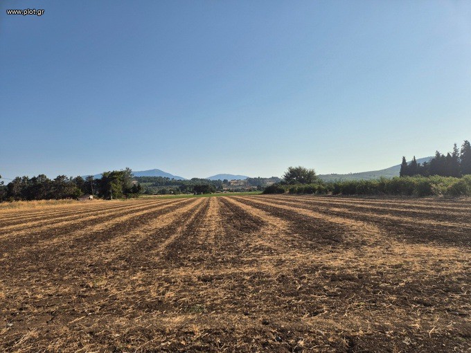 Αγροτεμάχια 13.092 τ.μ. προς πώληση, Κρύα Βρύση Κηρέως