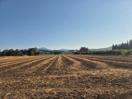 Αγροτεμάχια 13.092τ.μ. για πώληση-Κηρέα » Κρύα βρύση