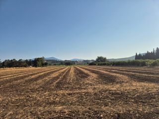 Αγροτεμάχια 13.092 τ.μ. για πώληση