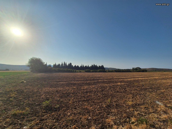 Αγροτεμάχια 13.092 τ.μ. προς πώληση, Κρύα Βρύση Κηρέως