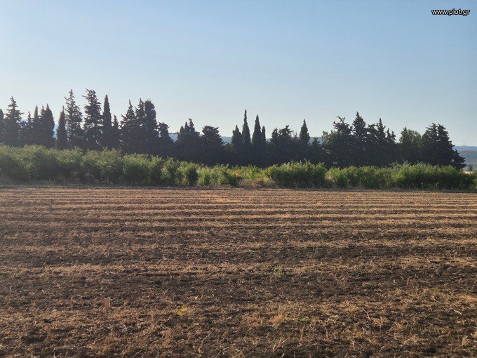 Αγροτεμάχια 13.092 τ.μ. προς πώληση, Κρύα Βρύση Κηρέως
