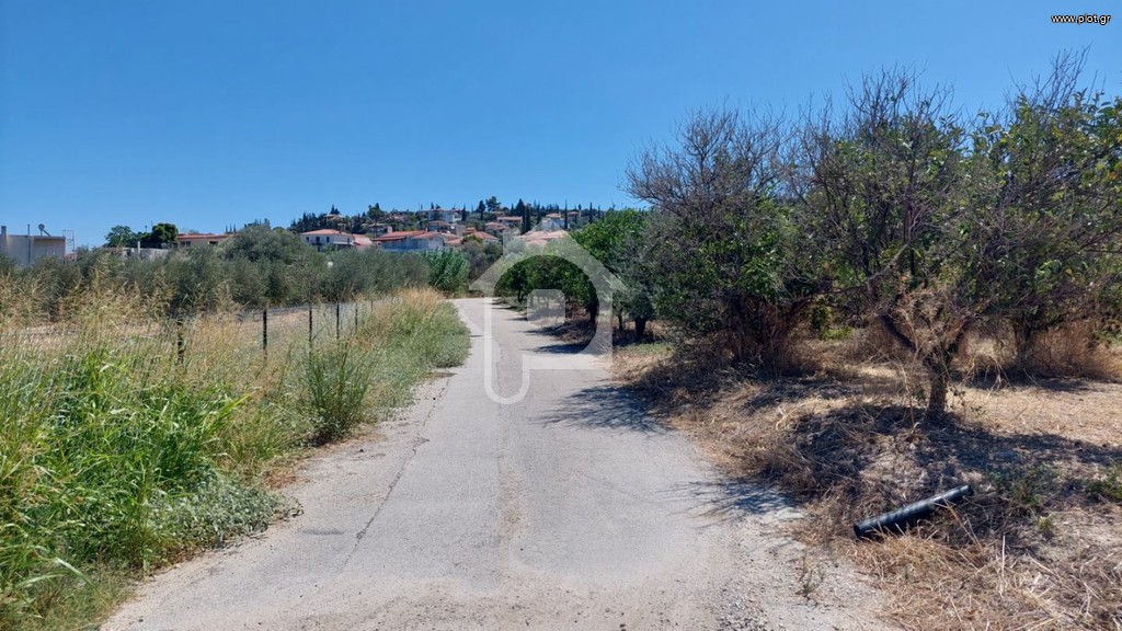 Οικόπεδο 2.917 τ.μ. προς πώληση, Μελίσσι Ξυλοκάστρου