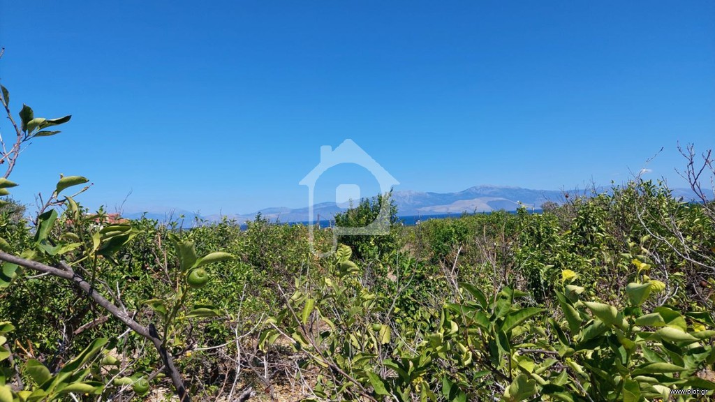 Οικόπεδο 2.917 τ.μ. προς πώληση, Μελίσσι Ξυλοκάστρου