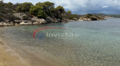 Αγροτεμάχια 7.800τ.μ. για πώληση-Σιθωνία » Ελιά