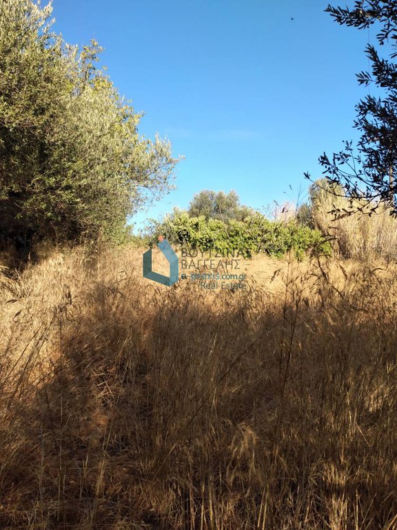 Οικόπεδο 1.500 τ.μ. προς πώληση, Σελλάς