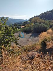 Οικόπεδο 1.500 τ.μ. προς πώληση, Σελλάς-thumb-12
