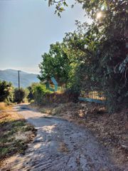 Οικόπεδο 1.500 τ.μ. προς πώληση, Σελλάς-thumb-10