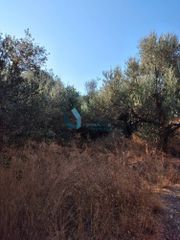 Οικόπεδο 1.500 τ.μ. προς πώληση, Σελλάς-thumb-2