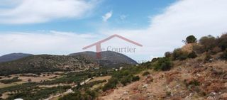 Οικόπεδο 4.875 τ.μ. για πώληση, Ν. Κεφαλονιάς, Κεφαλονιά-thumb-10