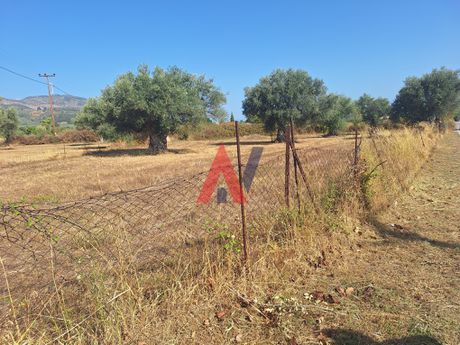Οικόπεδο 1.642τ.μ. για πώληση-Φαρίδα » Ξηροκάμπι