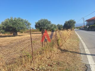 Οικόπεδο 1.642 τ.μ. πρός πώληση, Λακωνία, Φαρίδα-thumb-2