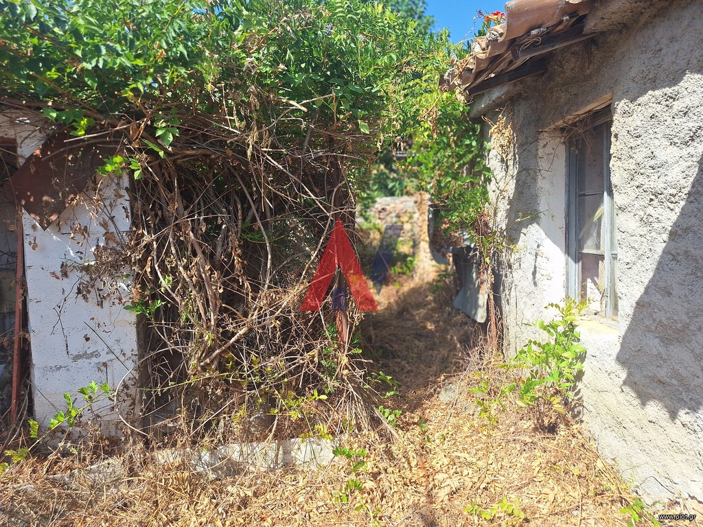 Μονοκατοικία 64 τ.μ. προς πώληση, Δάφνη Φαρίδας