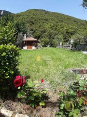 Μονοκατοικία 100 τ.μ. προς ενοικίαση, Λαύκα-thumb-38