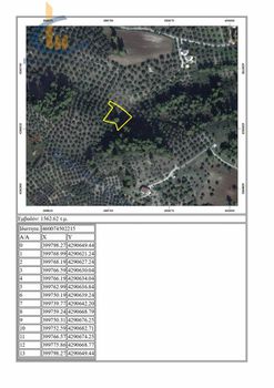 Parcel 2.008sqm for sale-Agios Konstantinos » Neochori
