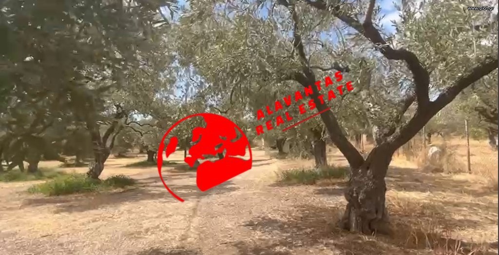 Land plot 7.017 sqm for sale, Evros, Alexandroupoli
