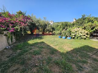Οικόπεδο 1.894 τ.μ. για πώληση, Μαγνησία, Ζαγορά-thumb-14