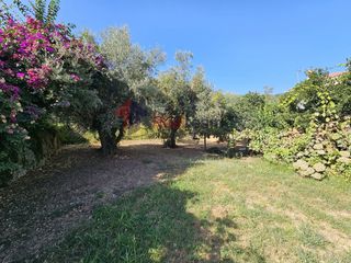 Οικόπεδο 1.894 τ.μ. για πώληση, Μαγνησία, Ζαγορά-thumb-15