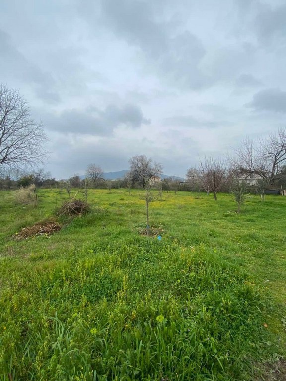 Οικόπεδο 857 τ.μ. προς πώληση, Αιδηψός
