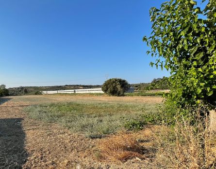 Οικόπεδο 3.002τ.μ. για πώληση-Αρκάδι