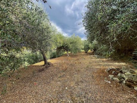 Αγροτεμάχια 12.774τ.μ. για πώληση-Γεροπόταμος