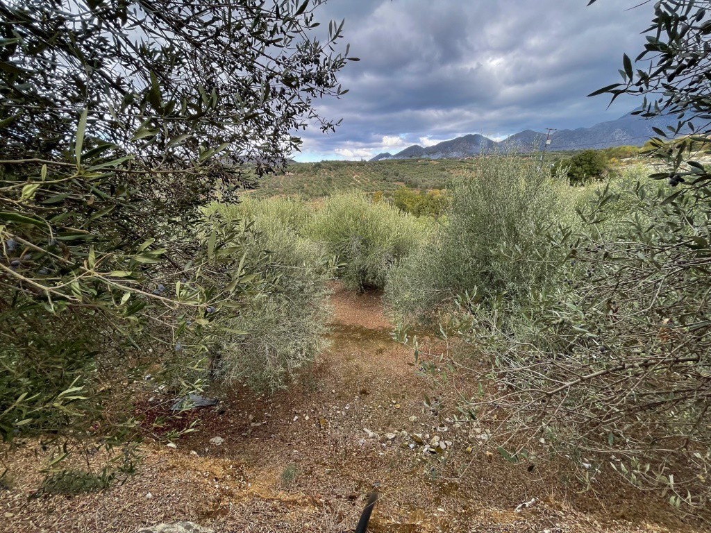 Parcel 12.774 sqm for sale, Rethymno Prefecture, Geropotamos
