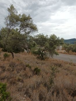 Parcel 7.287 sqm for sale