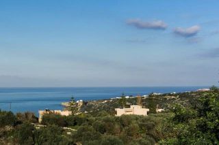 Αγροτεμάχια 5.966 τ.μ. για πώληση