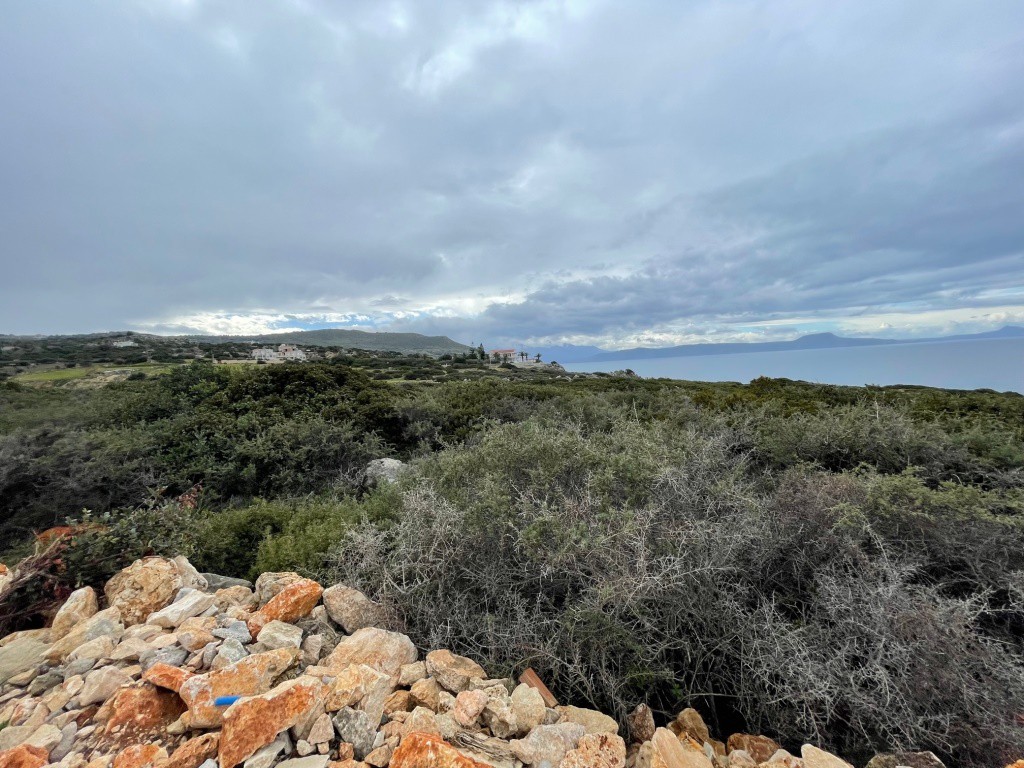 Αγροτεμάχια 29.000 τ.μ. πρός πώληση, Ν. Ρεθύμνου, Νικηφόρος Φωκάς