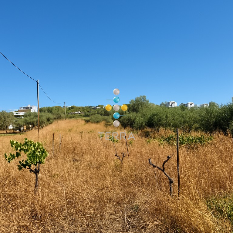 Αγροτεμάχια 1.135 τ.μ. πρός πώληση, Ν. Ρεθύμνου, Αρκάδι