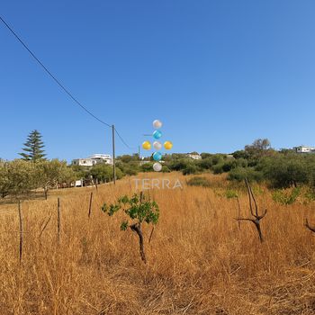 Αγροτεμάχια 1.135 τ.μ. πρός πώληση