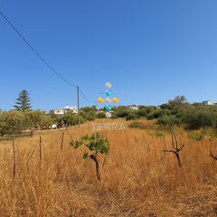 Αγροτεμάχια 1.135 τ.μ. για πώληση
